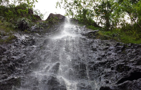 Заповедник Ka‘Au Crater на Гавайях