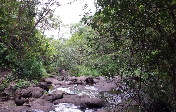 Река в Ka‘Au Crater, Гавайи