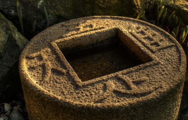 Водоем в японском саду