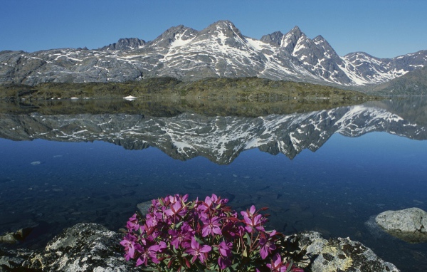 Суровая природа Гренландии