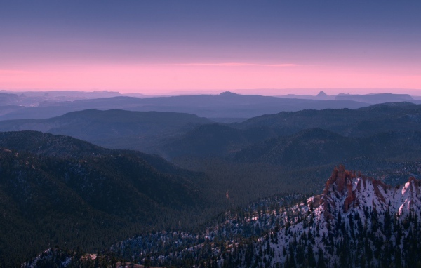 Покрытый лесом каньон Брюса в Юте