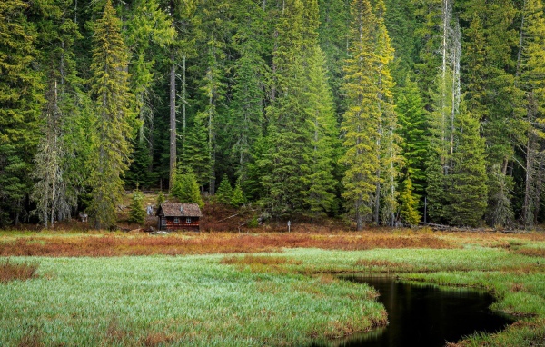 Избушка на опушке леса, Орегон