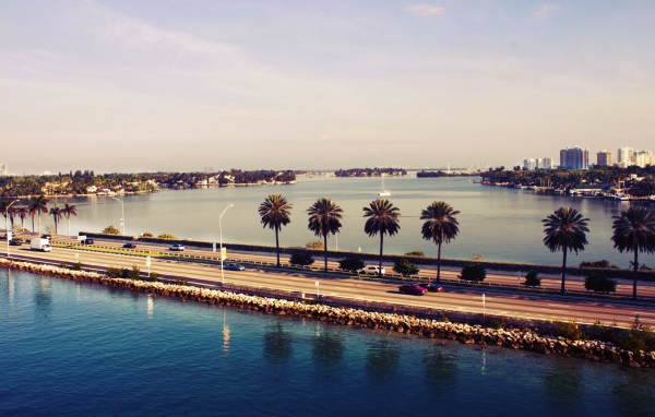 Пальмы у шоссе в Майами