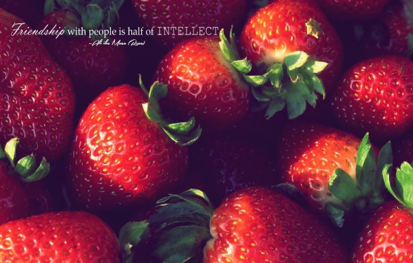 Дружелюбие, это часть интеллекта