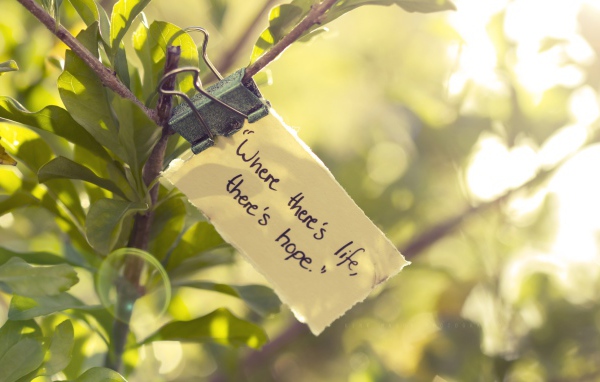 Где есть жизнь там есть и надежда