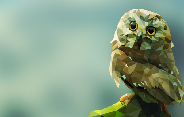 Сова на камне 3D графика 