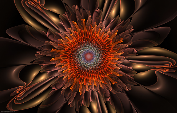 Спиральный цветок 3д рисунок 