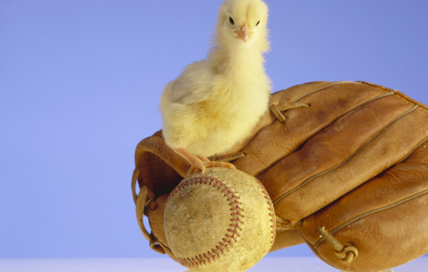 Маленький желтый цыпленок с бейсбольной перчаткой и мячом