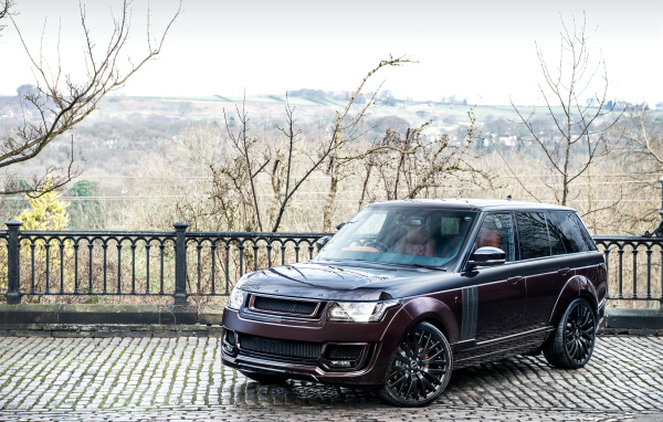 Внедорожник Range Rover цвет бордовый металлик