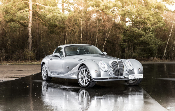 Серебристый автомобиль  Mitsuoka Roadster