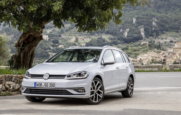 Серебристый Volkswagen Golf TDI Variant Worldwide (Typ 5G), 2017 под деревом 