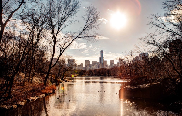 Вид на небоскребы из  городского парка 