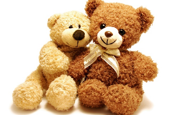 Два плюшевых медвежонка на белом фоне