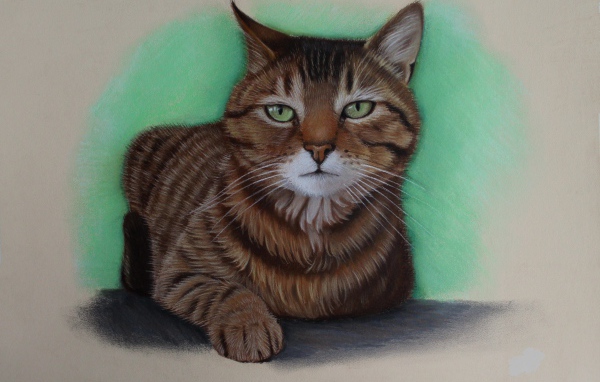 Нарисованный зеленоглазый кот