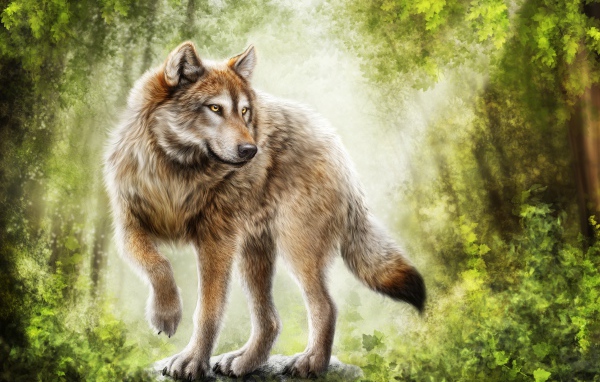 Нарисованный большой волк стоит в лесу