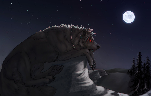 Большой черный волк на камне под луной