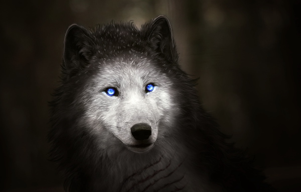Фантастический белый волк с голубыми глазами