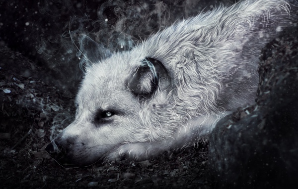 Фантастический волк лежит на земле