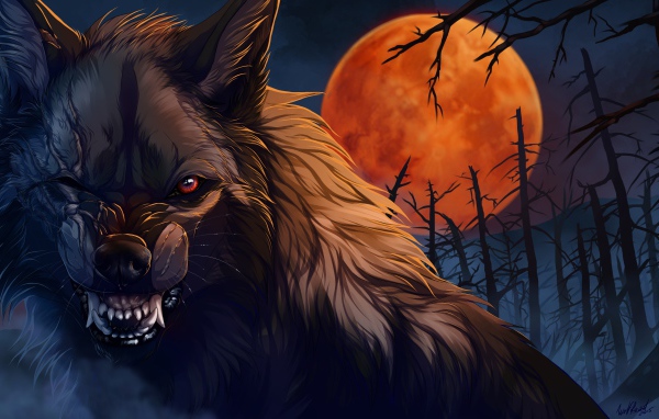 Волк оборотень на фоне большой красной луны фэнтези