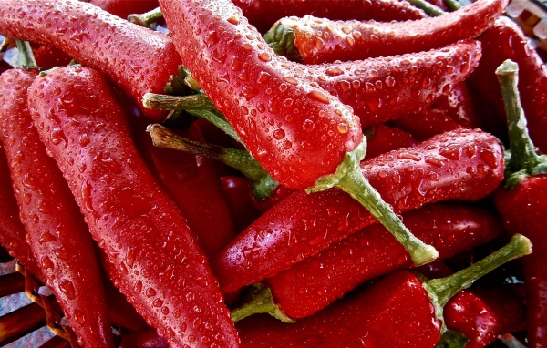 Красный перец чили в каплях воды крупным планом