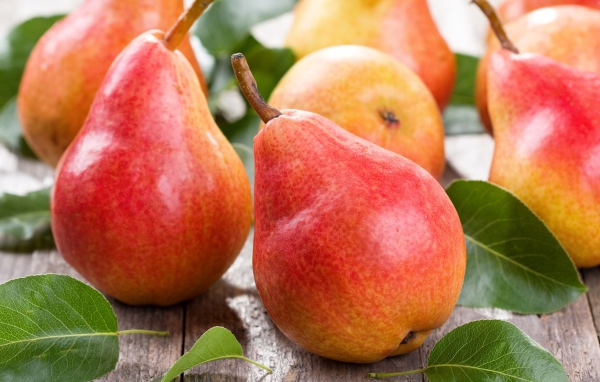 Зрелые аппетитные красные груши