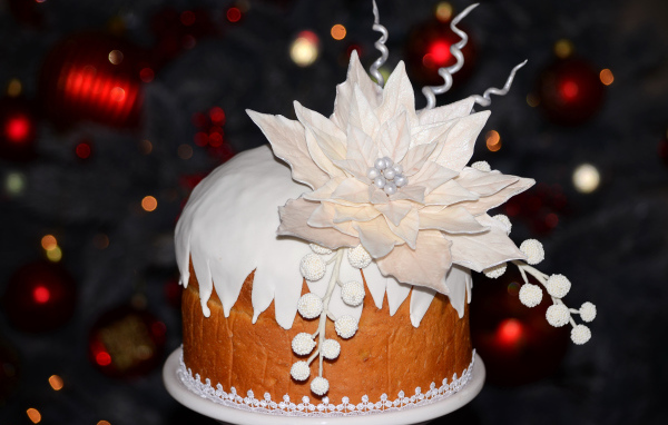 Аппетитный торт с красивым белым цветком