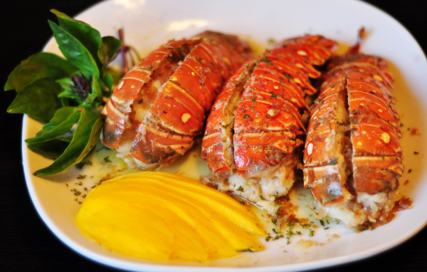 Омар с овощами на белой тарелке 