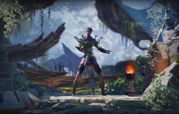 Эльф воин персонаж игры Divinity Original Sin II 