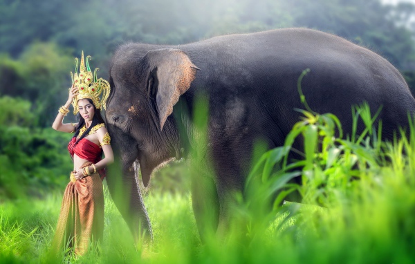 Девушка азиатка в красивом костюме с большим серым слоном