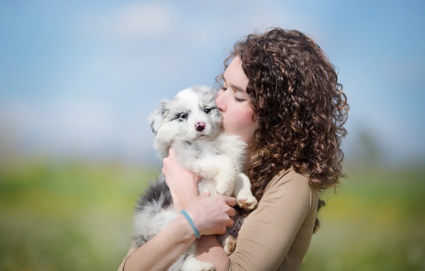 Красивая девушка брюнетка со щенком 