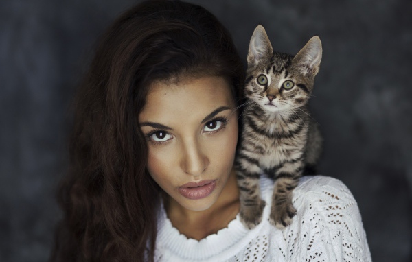 Красивая девушка с серым котенком на плече 