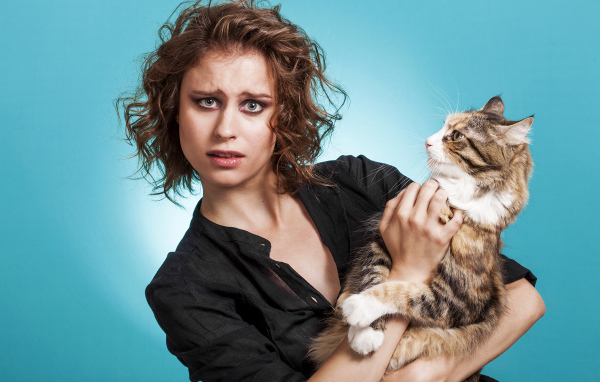 Молодая девушка шатенка с большим котом  на голубом фоне