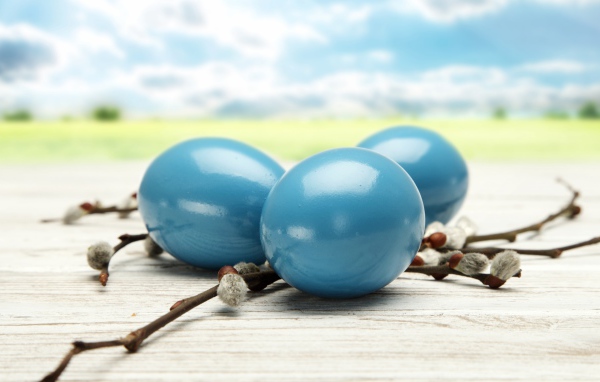 Синие пасхальные яйца и ветки вербы 