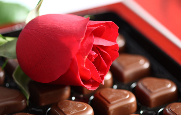 Конфеты в форме сердца и красная роза 