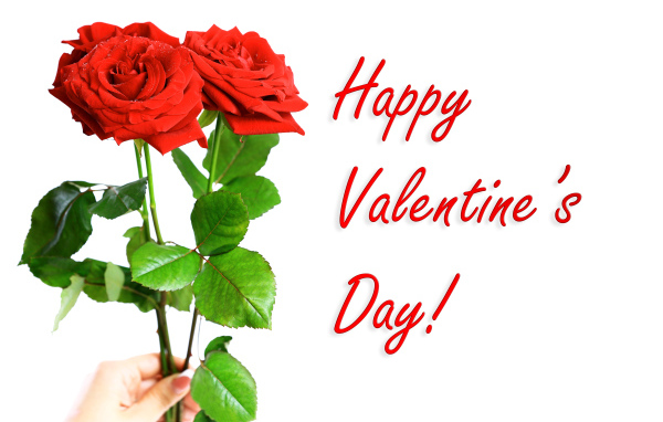 Три красных розы на День Святого Валентина, 14 февраля