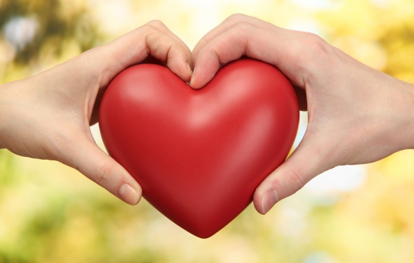 Парень и девушка  держат в руках большое красное сердце