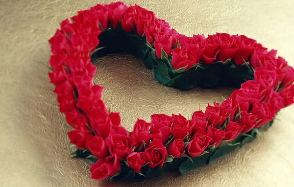 Большое сердце из красных роз 