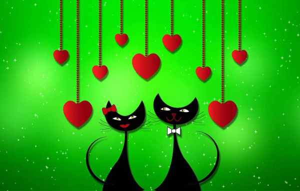 Влюбленные черные коты 