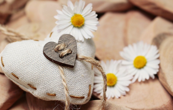 Сердце из ткани с белыми цветами ромашки