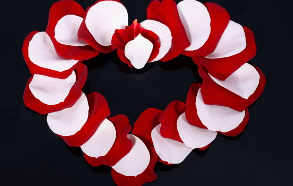 Сердце из лепестков розы 