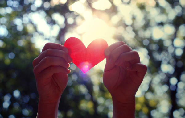 Бумажное сердце в руках 