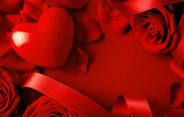 Красное сердце в лепестках красной розы  