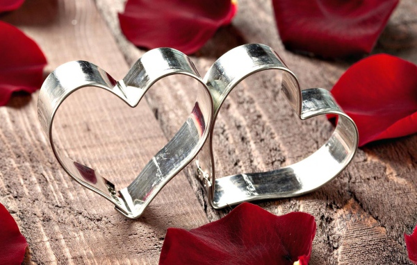 Два серебряных сердца в лепестках красной розы 