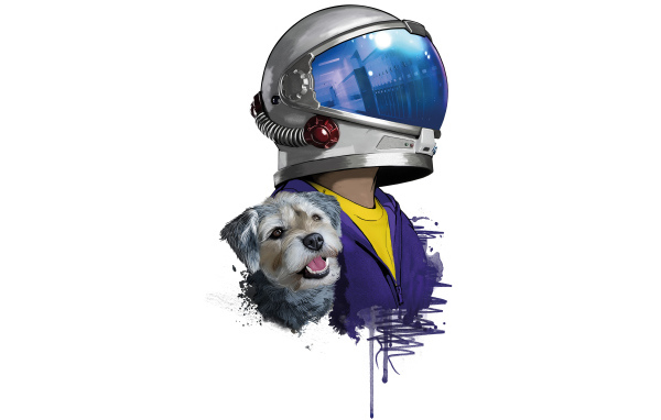 Постер нового фильма Чудо, 2017 на белом фоне