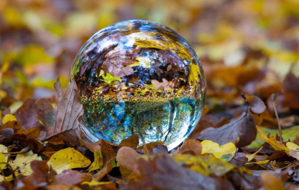 Стеклянный шар лежит на сухой желтой траве осенью