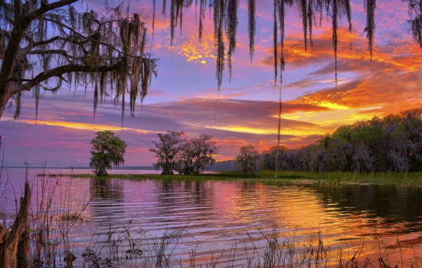 Красивое небо на закате над лесным озером