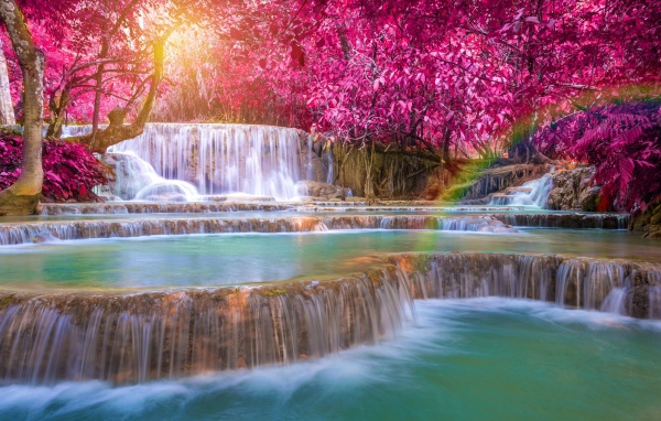 Красивые деревья с красными листьями у водопада 