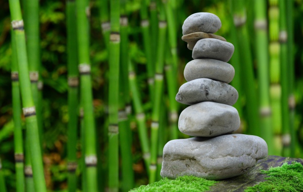 Серые камни на фоне зеленого бамбука