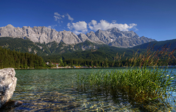 Зеленый лес у горного озера, Германия