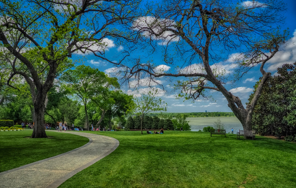 Зеленые газоны в парке на фоне красивого голубого неба